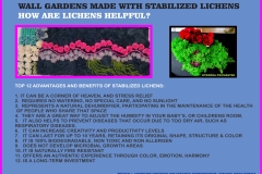 001.-advantages-and-benefits-of-stabilized-lichens