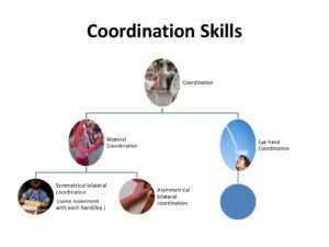 1-What are coordination skills